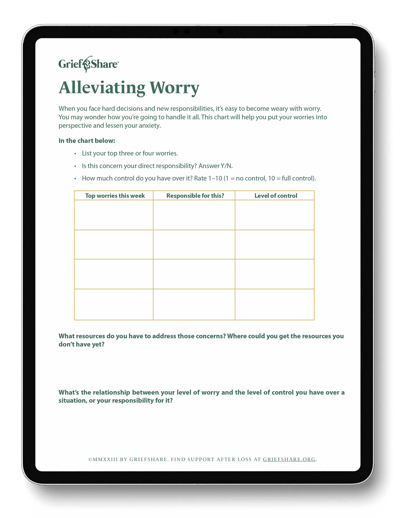 AlleviatingWorryChart.ipad3 AlleviatingWorryChart.ipad3