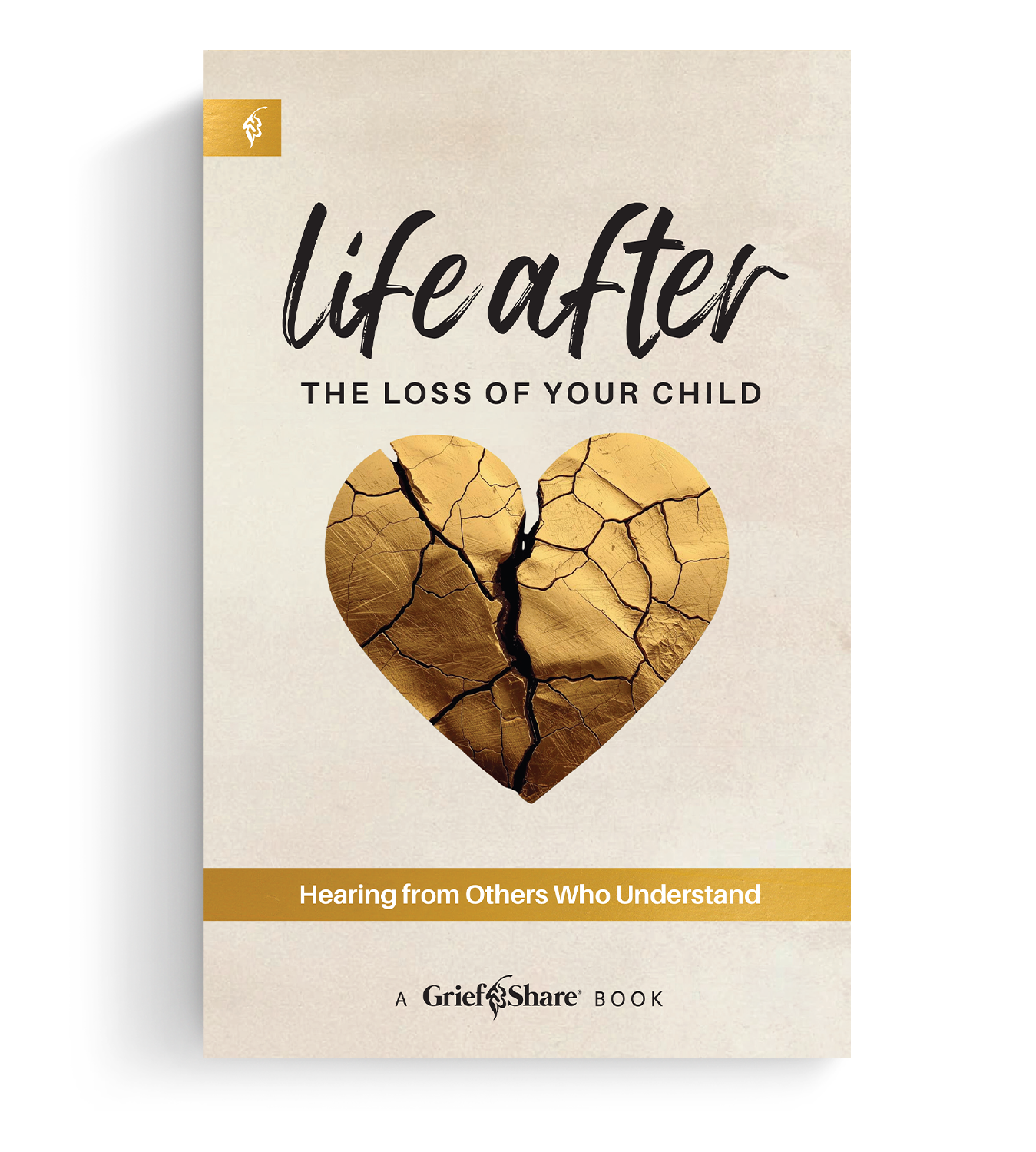 Life After the Loss of Your Child Life After the Loss of Your Child