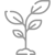 growth-icon