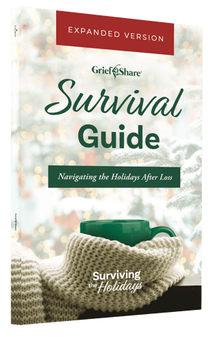 gs-sth-cover-mockup gs-sth-cover-mockup